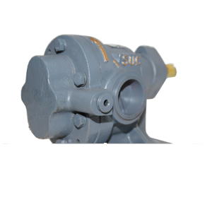 External Gear Pump in Morbi