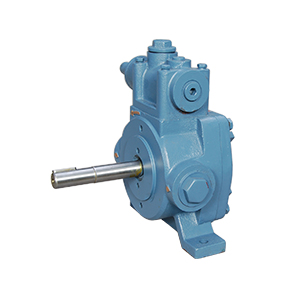 Rotary Gear Pump in Pune